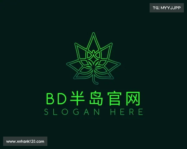 认识bob半岛·综合官网